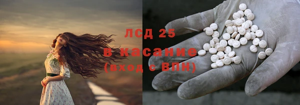 PSILOCYBIN Верея