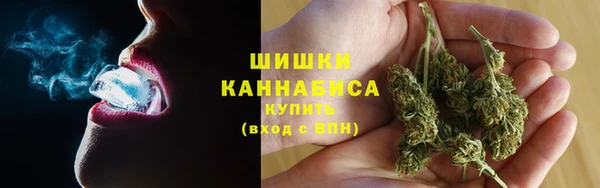 СК Бородино