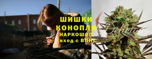 PSILOCYBIN Верея