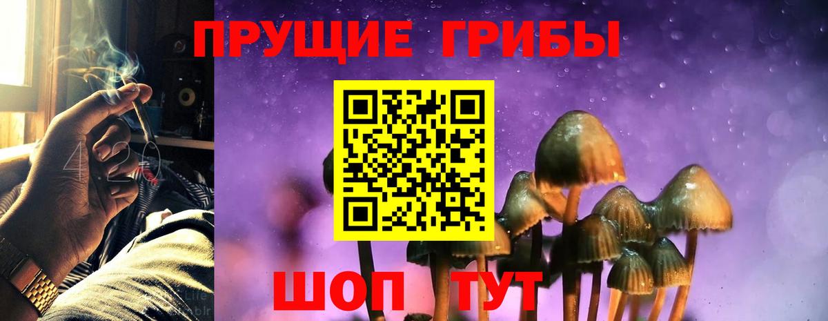 Псилоцибиновые грибы Cubensis Дальнегорск