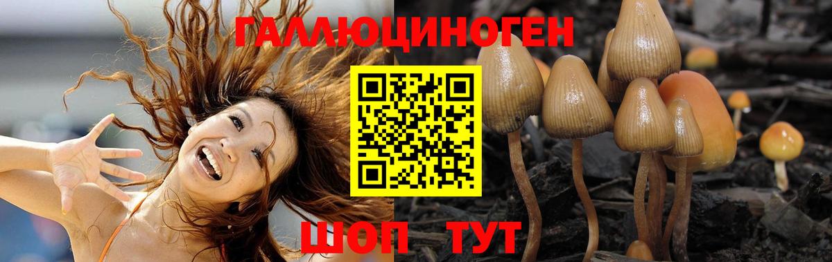 Дальнегорск  Псилоцибиновые грибы прущие грибы  Вход с VPN 